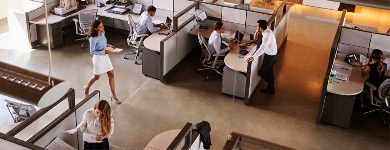 Insight and Adobe Insight and Adobe