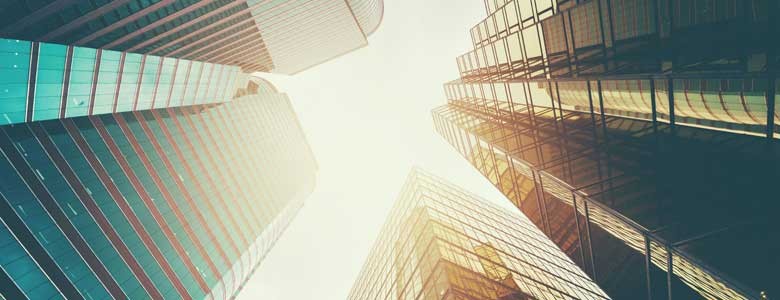 Insight and Adobe Insight and Adobe